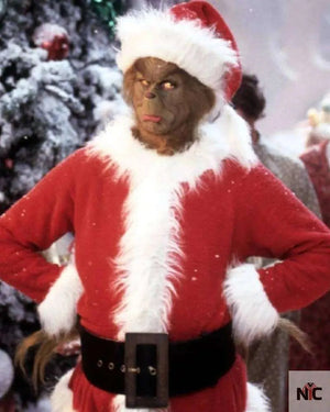 The Mean One Grinch Christmas Costume