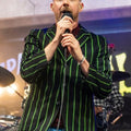 Palace Park Ricky Wilson Alexandra Striped Blazer