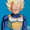 Saiyan Armor Weighted Vest