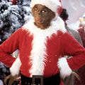 The Mean One Grinch Christmas Costume